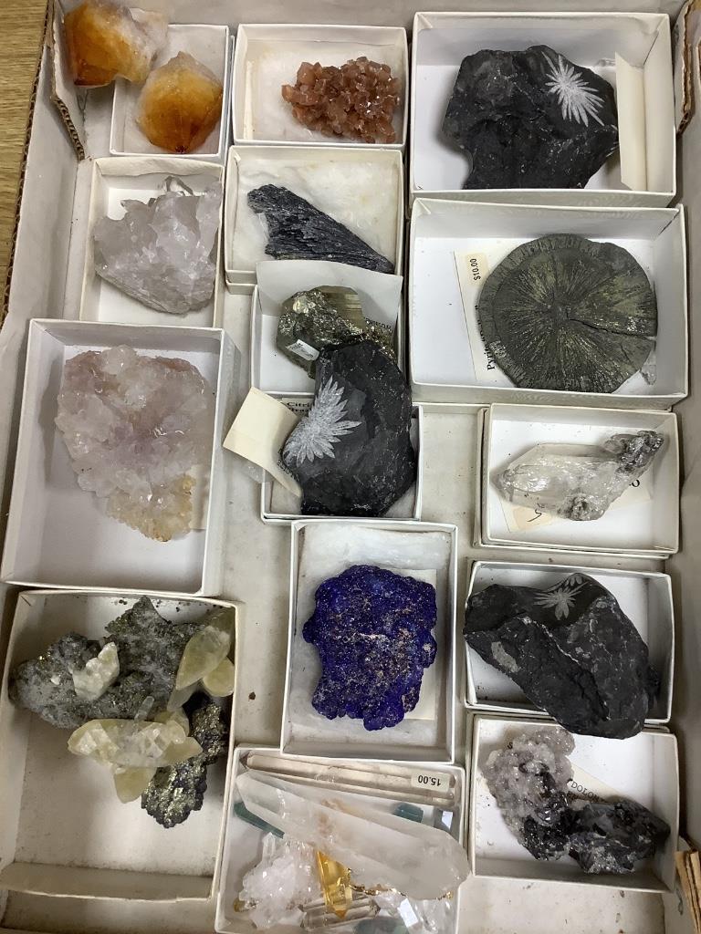 A collection of mineral specimens